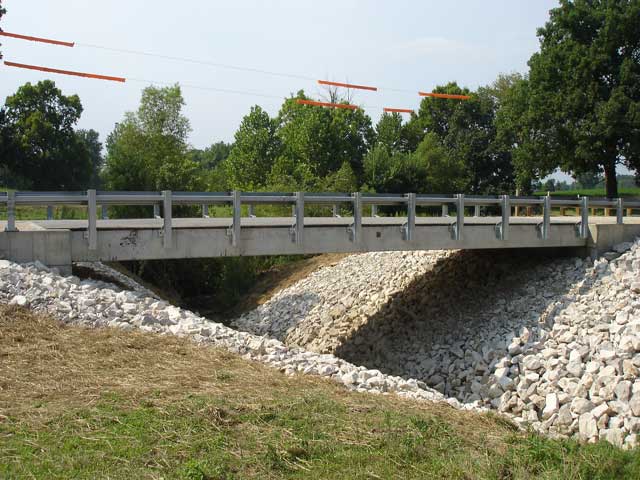Project 19